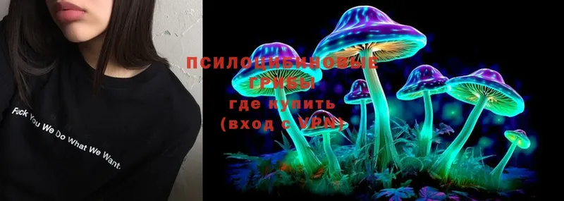 MEGA tor  Полевской  Псилоцибиновые грибы Psilocybe  купить наркоту 